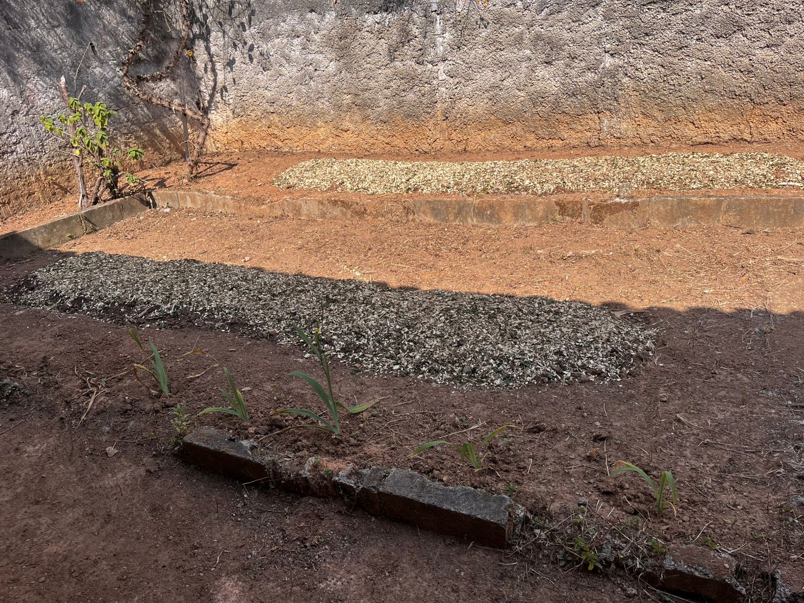 A Agroecologia na Educação Básica: engenharia popular e saneamento ambiental para o enfrentamento das mudanças climáticas em ações transformadoras na Escola Estadual Professora Nair de Oliveira Santana.
